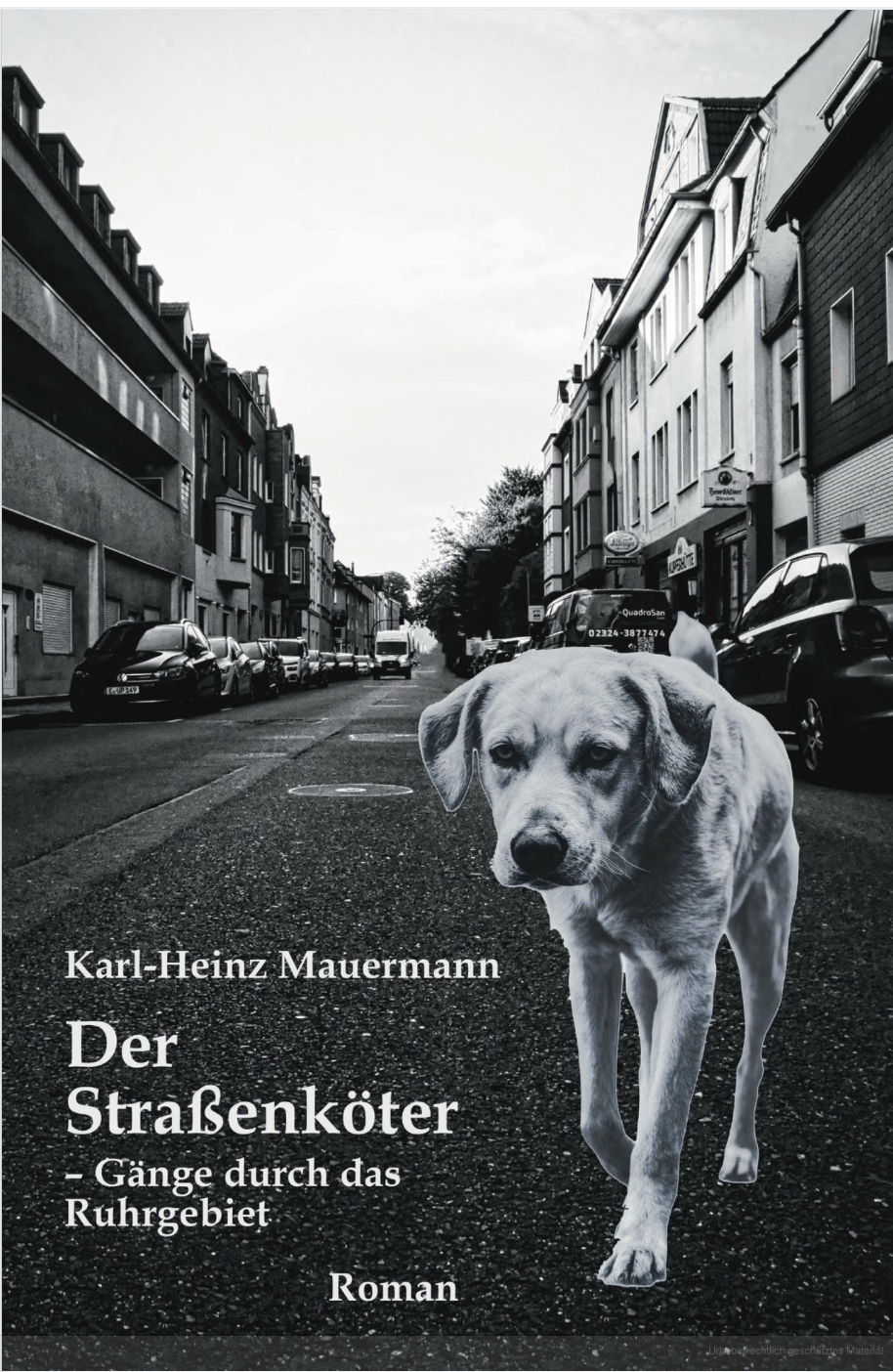 Cover des Romans Der Straßenköter – Gänge durch das Ruhrgebiet von Karl-Heinz Mauermann